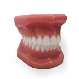 MANEQUIM ORTO ALINHADOR - cód. 12928