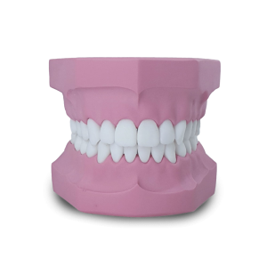 MANEQUIM PARA ESCANEAMENTO - cód. 14470