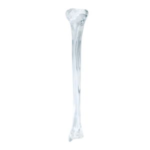 TÍBIA ACRÍLICA - ESQUERDA - cód. 1011 A