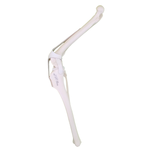 JOELHO DIREITO ESPONJOSO - CÃO GRANDE PORTE - cód. AV252 D